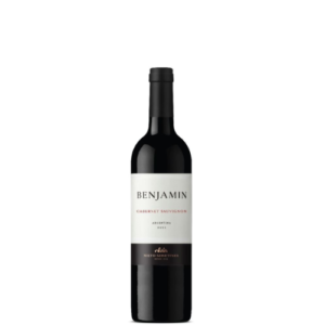 Benjamin Nieto Cabernet 750cc