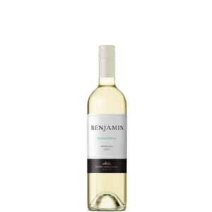 Benjamin Nieto Chardonnay 750cc